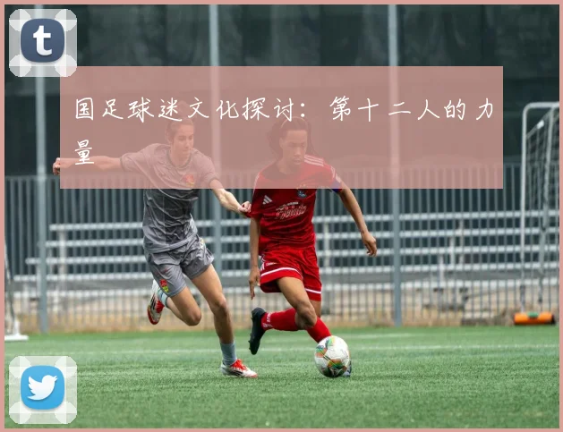 国足球迷文化探讨：第十二人的力量