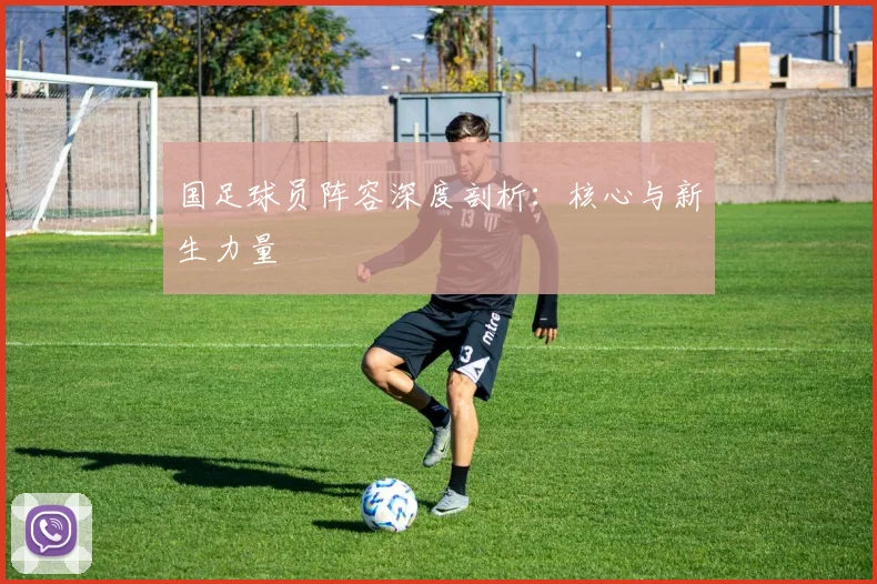 国足球员阵容深度剖析：核心与新生力量