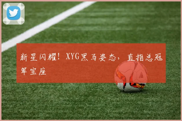 新星闪耀！XYG黑马姿态，直指总冠军宝座
