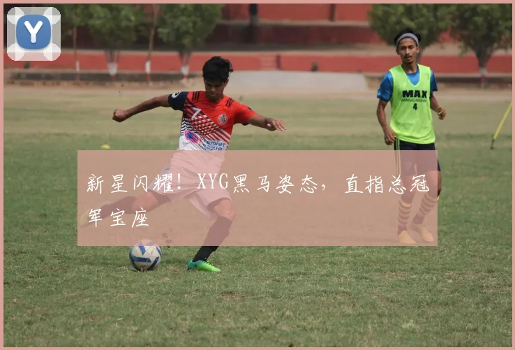 新星闪耀！XYG黑马姿态，直指总冠军宝座